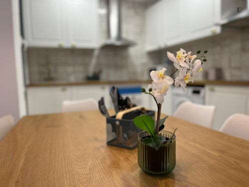 Attractive double bedroom in the central La Magdalena neighbourhood - Gallery - 15