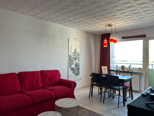 Amazing flat in Hattersheim (Hattersheim am Main) - Gallery - 6