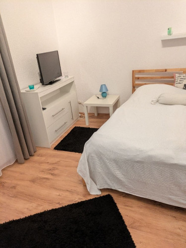 Schön möblierte moderne 2 - Zimmer Wohnung in Geisenheim  - Gallery -  5