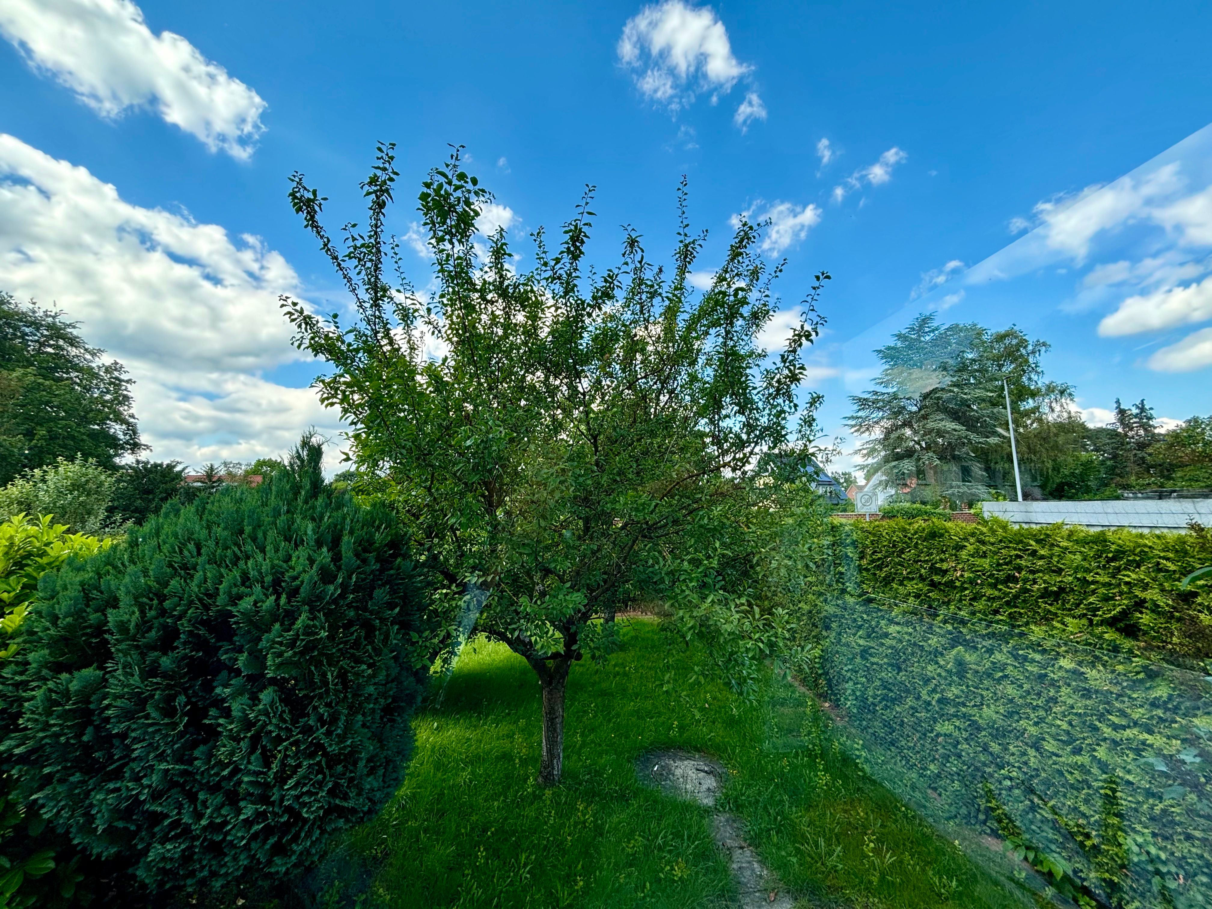  Fashionable And Fantastic Flat In Celle  -  Fashionable and fantastic flat in Celle  - Gallery -  24