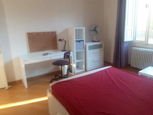 Nice single bedroom close to city centre