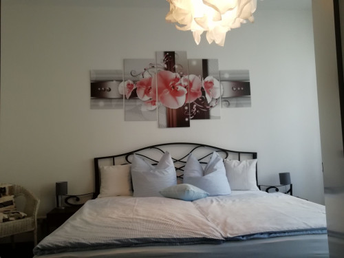 Quiet, in the countryside with balcony in nice neighborhood in Dresden