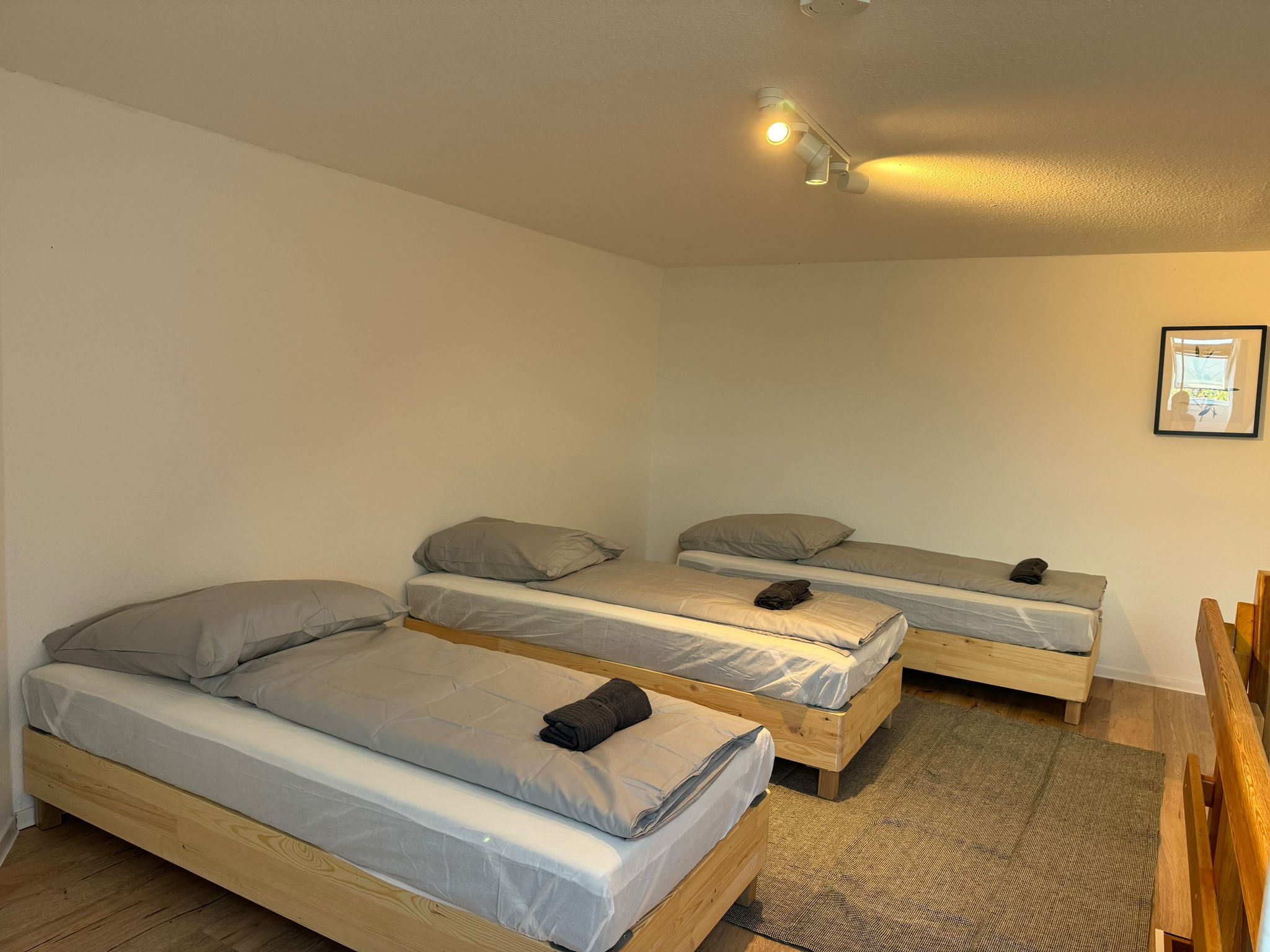  Nice & Cute Studio Close To City Center, Hannover  -  Nice & cute studio close to city center, Hannover  - Gallery -  4