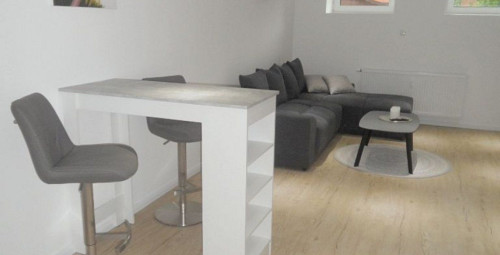 Amazing & spacious suite in Wolfsburg - Gallery - 14