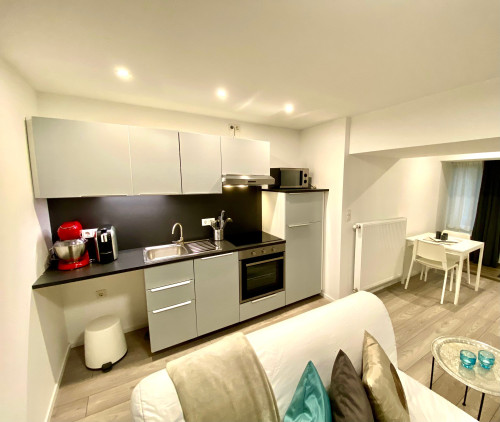 Wonderful studio in Saarbrücken walking distance to university - Gallery - 9