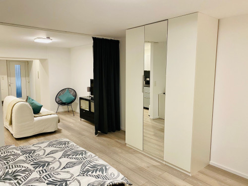 Wonderful studio in Saarbrücken walking distance to university - Gallery - 2