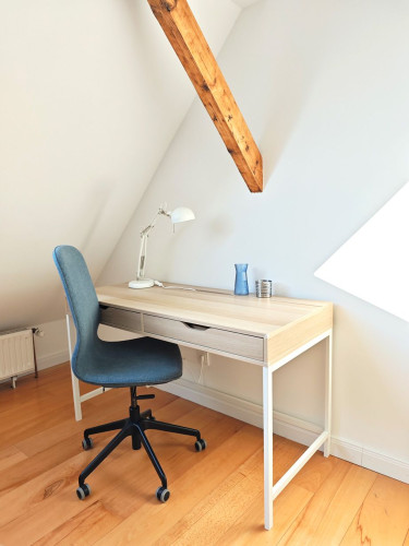 Charming attic apartment with balcony, furnished, first occupancy after renovation, close to Düsseldorf