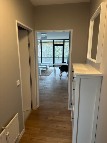 Cozy & quiet suite in Wiesbaden