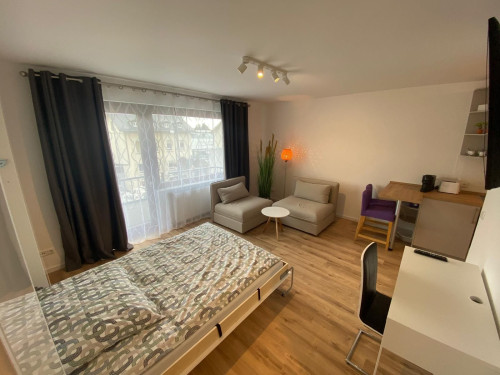 Cute and new renovated apartment in Bad Soden (Bad Soden am Taunus) - Gallery - 9