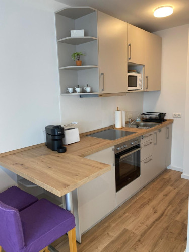 Cute and new renovated apartment in Bad Soden (Bad Soden am Taunus)