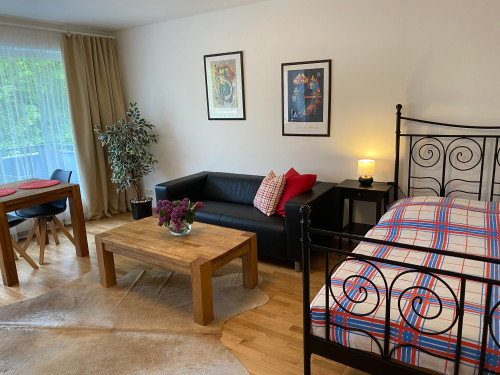 Beautiful, newly renovated and furnished 1-room apartment with balcony and internet in Wiesbaden, first move-in