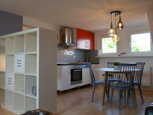 Apartment MAINHATTAN - fully furnished and equipted incl. weekly cleaning - Gallery - 10