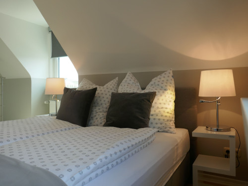 Apartment MAINHATTAN - fully furnished and equipted incl. weekly cleaning  - Gallery -  5