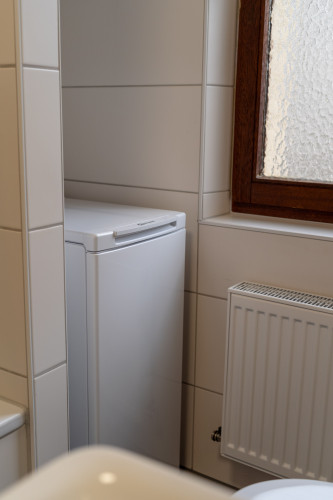Friendly 2-room apartment centrally located between Stadtpark and Wöhrdersee - Gallery - 5