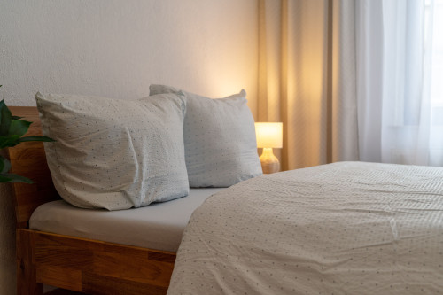 Friendly 2-room apartment centrally located between Stadtpark and Wöhrdersee
