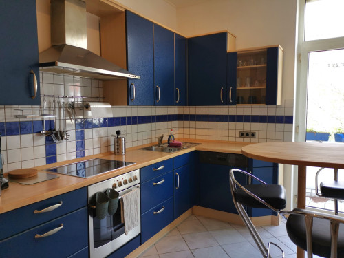 Nice 2 room apartment with balcony and large bathroom in a quiet street - Gallery - 9
