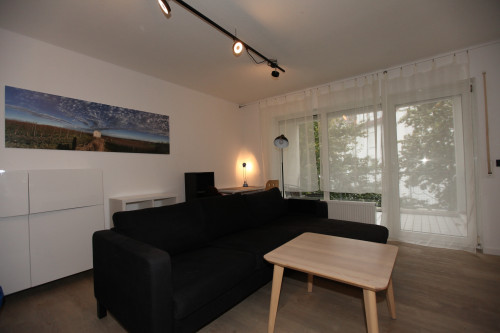 Dreamy, newly renovated Apartment with Brand New Features - Fully Furnished and Move-in- Ready
