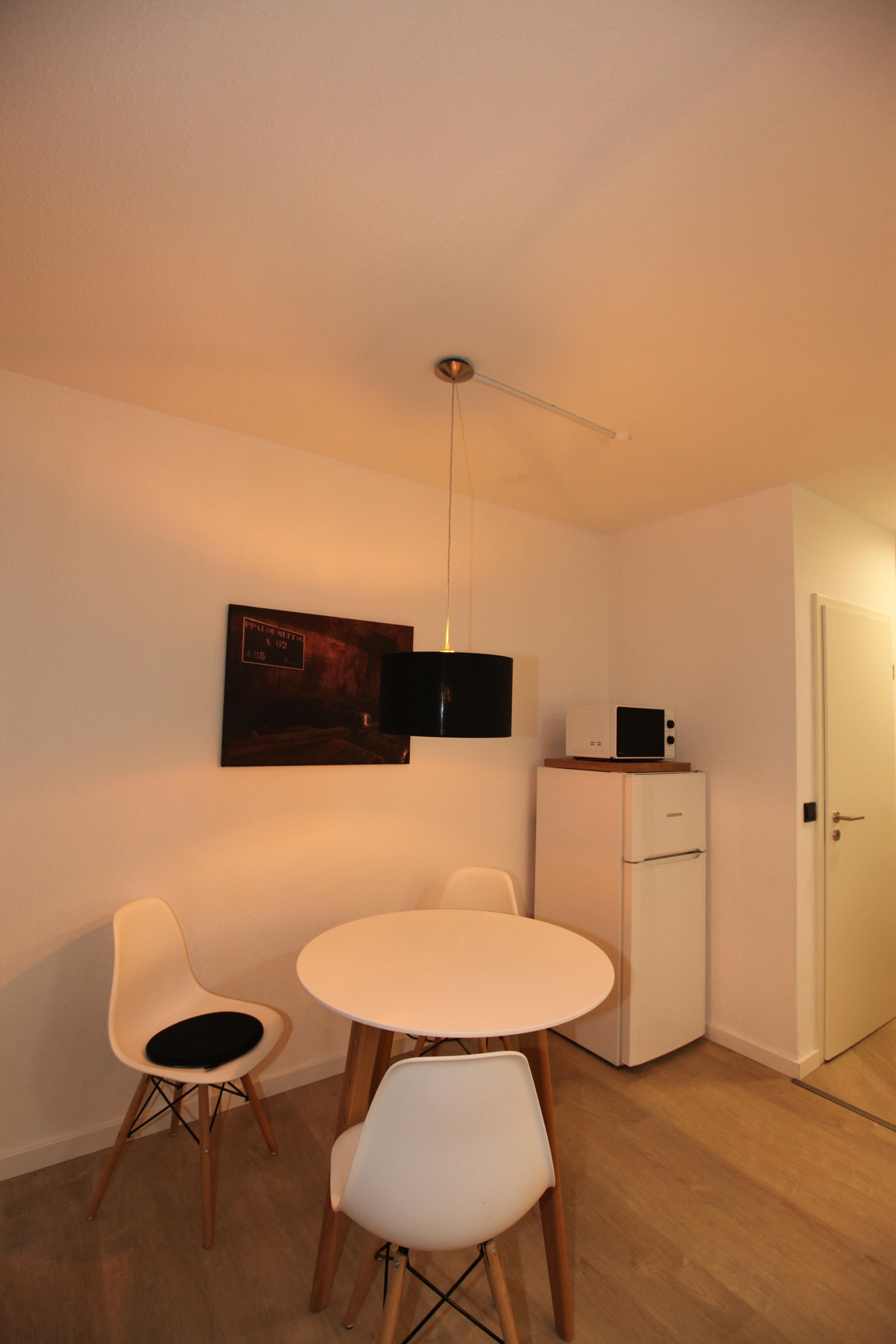 Dreamy, Newly Renovated Apartment With Brand New Features - Fully Furnished And Move-In- Ready - 7