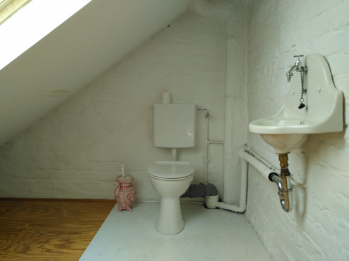Bright attic apartment with west balcony in central location in Bonn Weststadt  - Gallery -  5