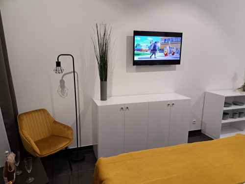 Pretty suite in Villingen-Schwenningen - Gallery - 6