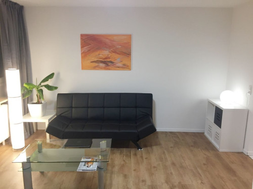 Bright apartment, 40sqm in central location of Munich