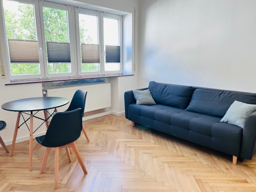 1.5 room flat in Ulm city centre