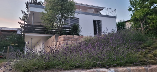 Very spacious – Top location – Modern (completely renovated 2023) – Large terrace – Quiet