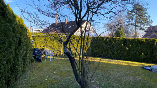 Corporate-standard housing with private garden. - Gallery - 14