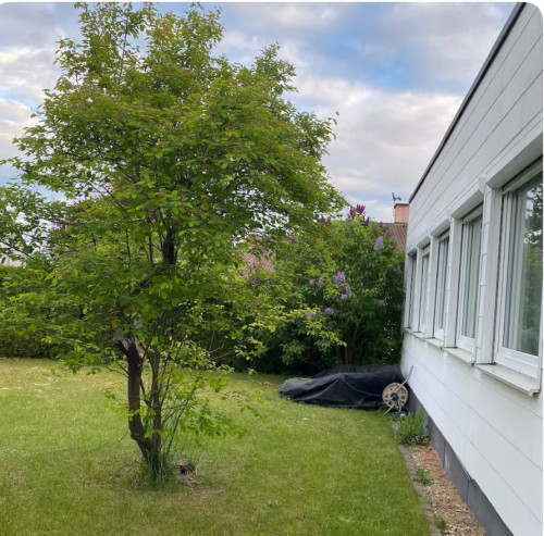 Corporate-standard housing with private garden. - Gallery - 29