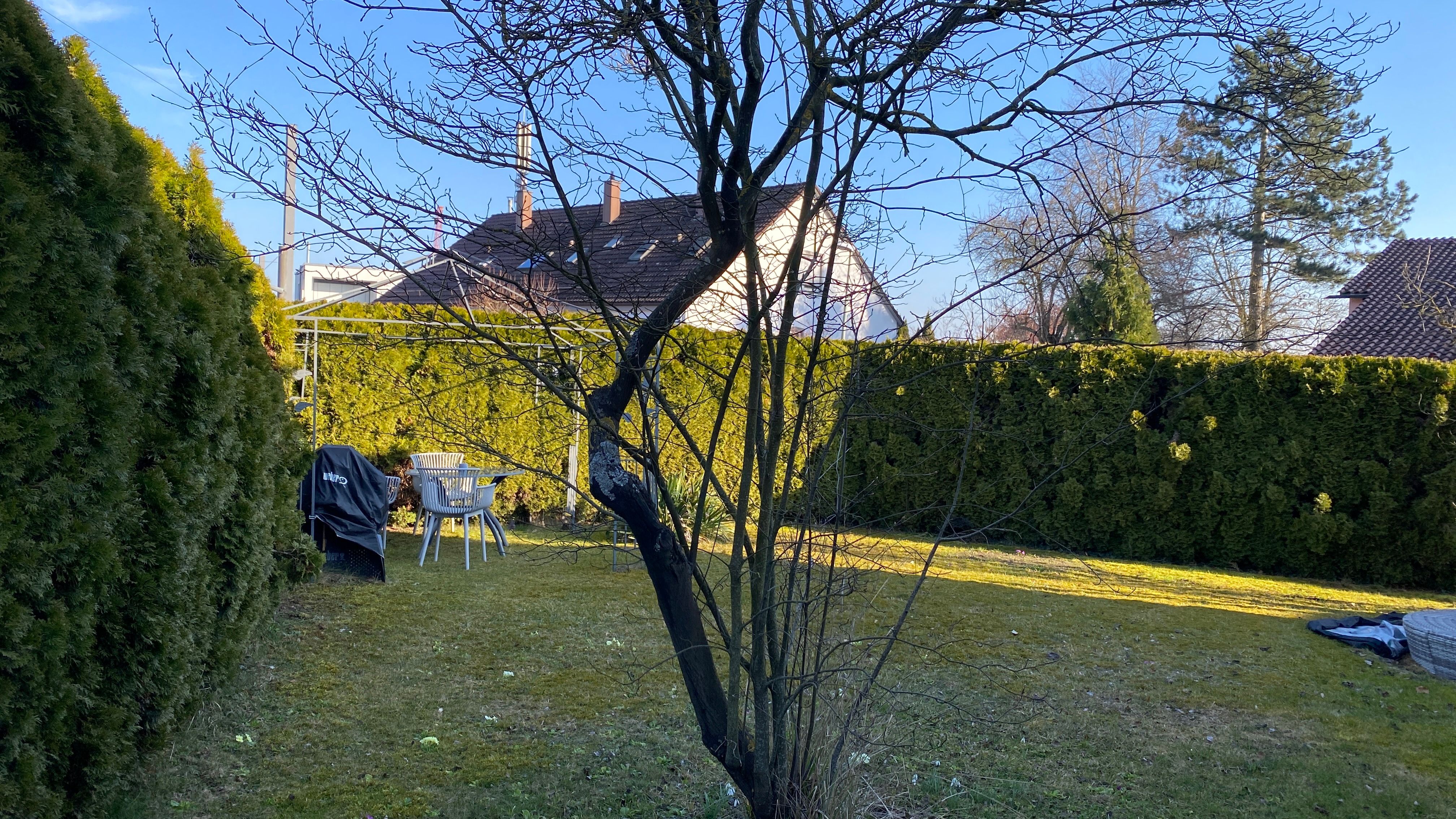 Corporate-Standard Housing With Private Garden. - 13