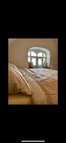 Whirlpool in the heart of the Art Nouveau district - Gallery - 19