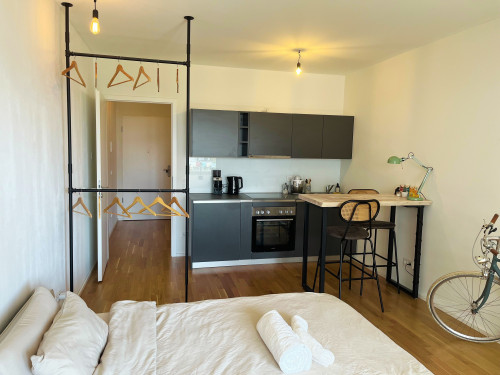 Newly built apartment in Cologne-Rodenkirchen