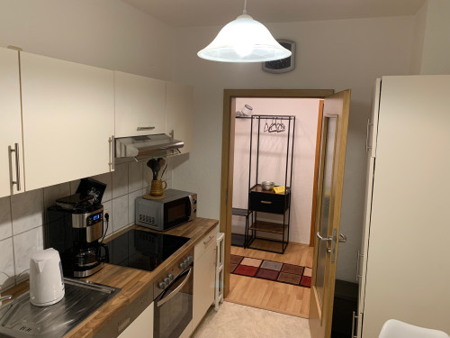 Lovely, beautiful flat located in Chemnitz - Gallery - 19