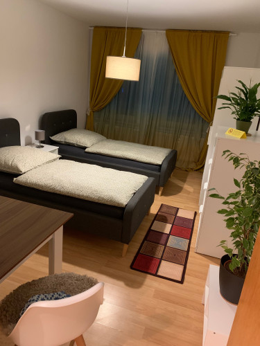 Lovely, beautiful flat located in Chemnitz  - Gallery -  5