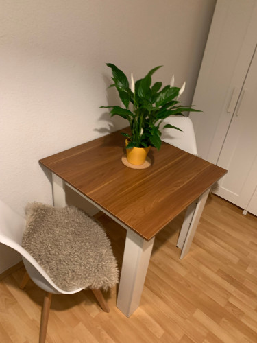 Lovely, beautiful flat located in Chemnitz - Gallery - 16
