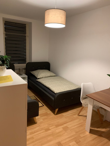 Lovely, beautiful flat located in Chemnitz - Gallery - 10