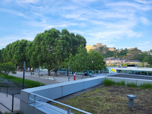 Living on the Rhine promenade, stylishly furnished at an all-inclusive price