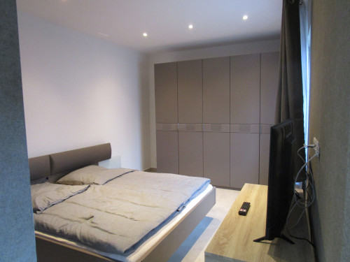 Cozy loft with nice city view (Hannover) - Gallery - 7