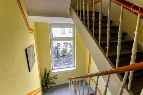 Business & Comfortable Studio Apartment in Ludwigshafen am Rhein