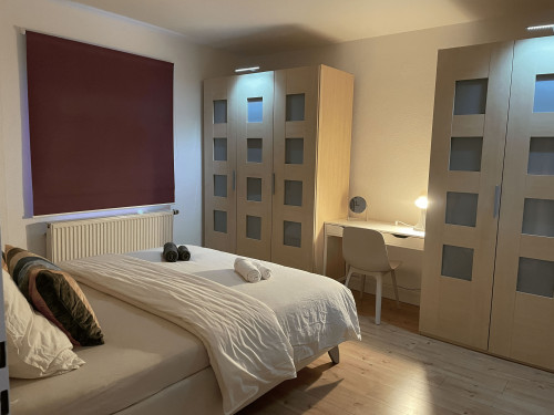 Bright 2BR Flat Near Cologne | Registration | Long-Term Ready - Gallery - 27