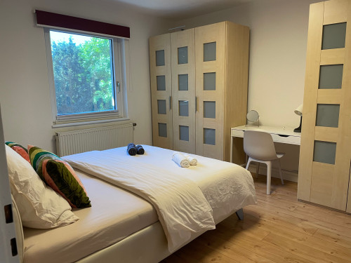 Bright 2BR Flat Near Cologne | Registration | Long-Term Ready - Gallery - 24