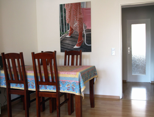 Comfortable Apartment, fully furnished centrally located in Eschborn