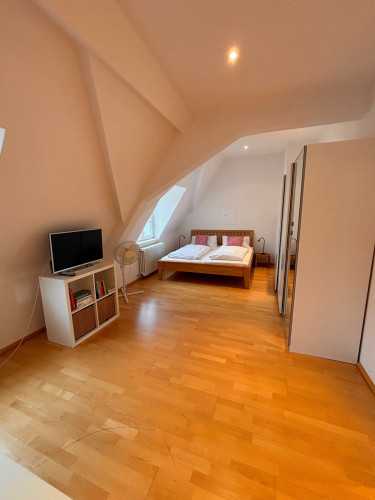 Modern old town apartment with gallery, centrally located below the castle