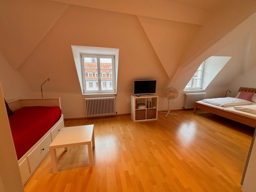 Modern old town apartment with gallery, centrally located below the castle