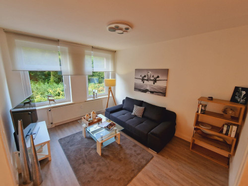 Business Apartment Lüneburg - Gallery - 19