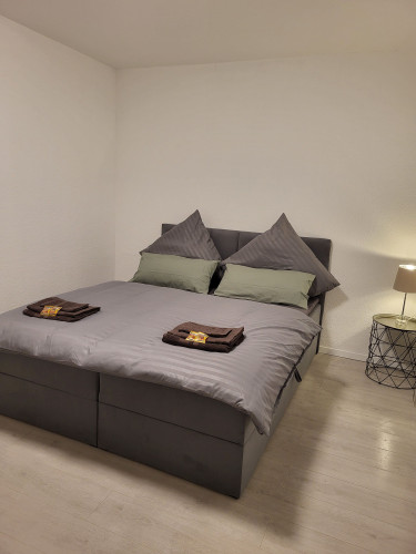 Gorgeous flat in Worms - Gallery - 12