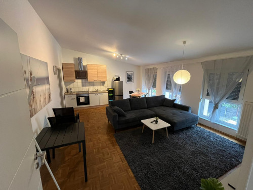 Spacious and Fully Furnished 2-Room Apartment in Alzey