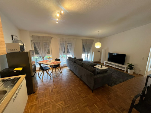 Spacious and Fully Furnished 2-Room Apartment in Alzey