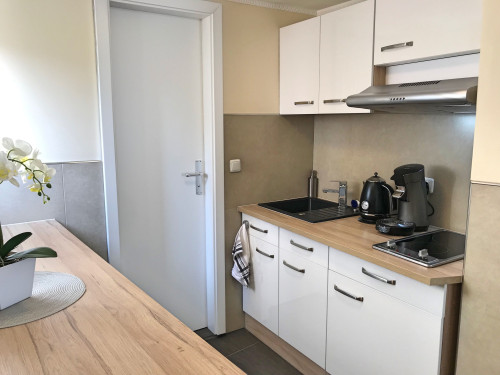 Studio apartment with cosy courtyard in Rüdesheim am Rhein - Gallery - 6