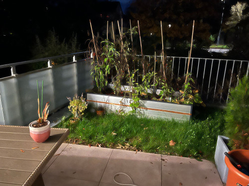 Beautiful new apartment in walking distance to the university